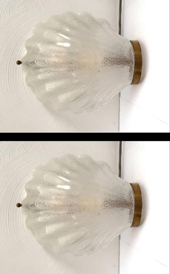 Image 1 of 2er-Set Murano-Muschel-Wandlampen Großformat