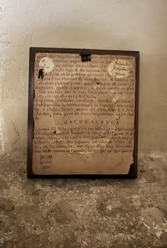 Miniatura sotto vetro firmata S.Gray – Dipinti e disegni, Wood, Glass, Art Deco (photo 5 of 5)