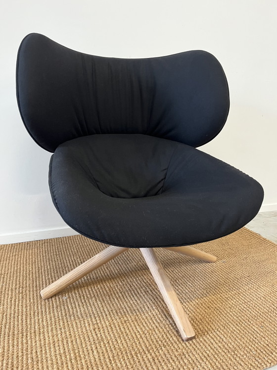 Image 1 of Fauteuil Tabano de B&B Italia — Patricia Urquiola — noir/crème
