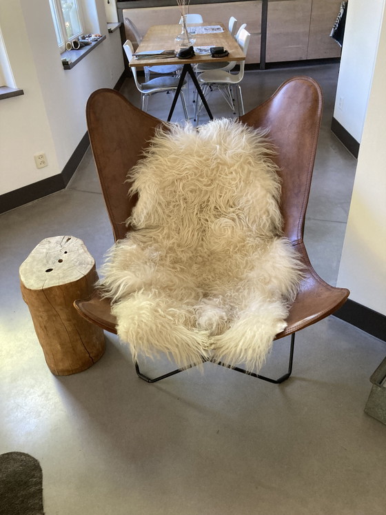 Mariposa Chair Cuera Pampa, Fauteuil Papillon – Puur design&interieur, Leather (photo 4 of 5)