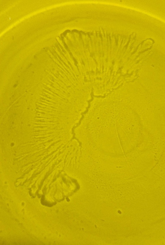 Image 1 of Vintage Polish Art Glass Vase – Huta Alicja Tarnów – Vibrant Yellow – 48cm