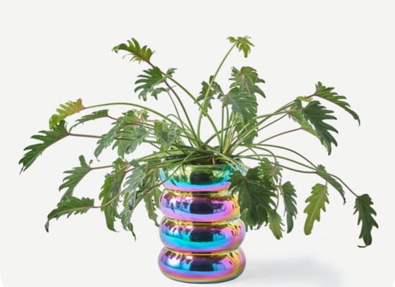 Image 1 of Chubby flower pot