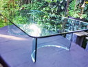 Gallotti En Radice Coffee Table Glass