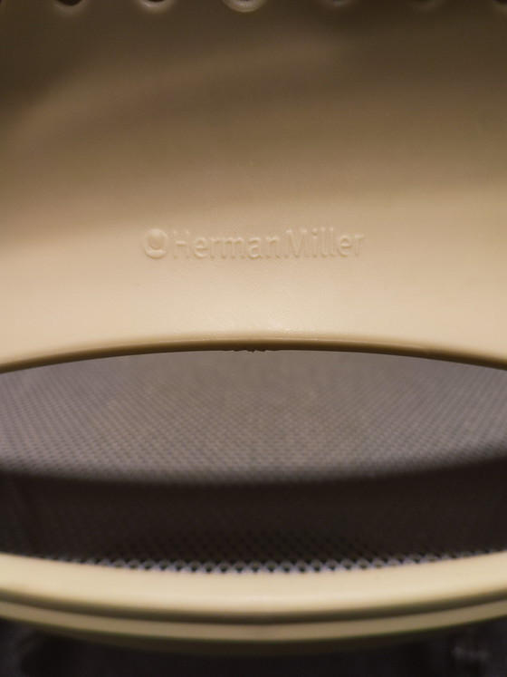 Image 1 of Sedia da conferenza Herman Miller Caper usata