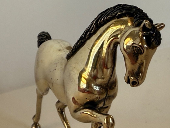 Image 1 of Cheval Saturno en argent massif