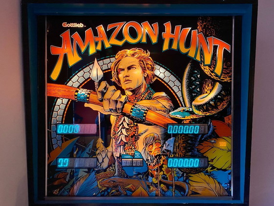 Image 1 of Flipper Gottlieb