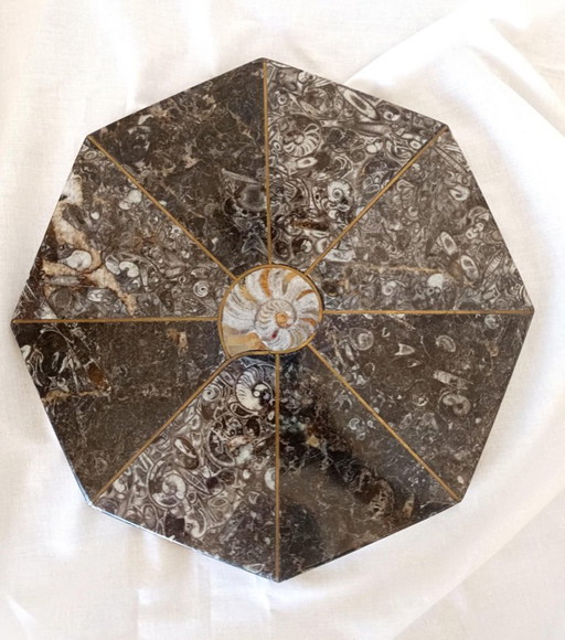 Stone trivet with fossilized ammonite