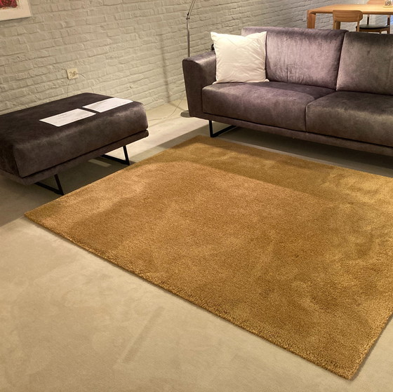 Image 1 of CS Rugs Sauvage rug - 160x220