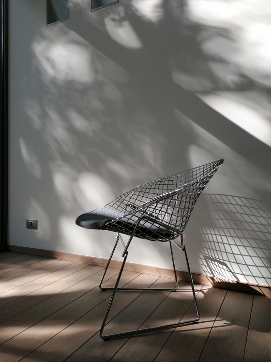 Image 1 of Sedia Diamond Knoll Bertoia