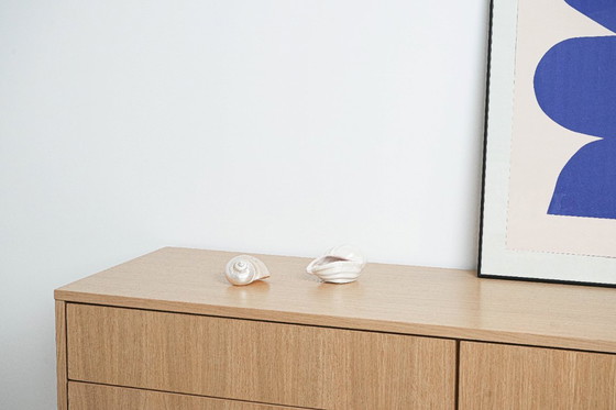 Image 1 of Concha de nácar, diseño italiano, años 70, fabricada en Italia.