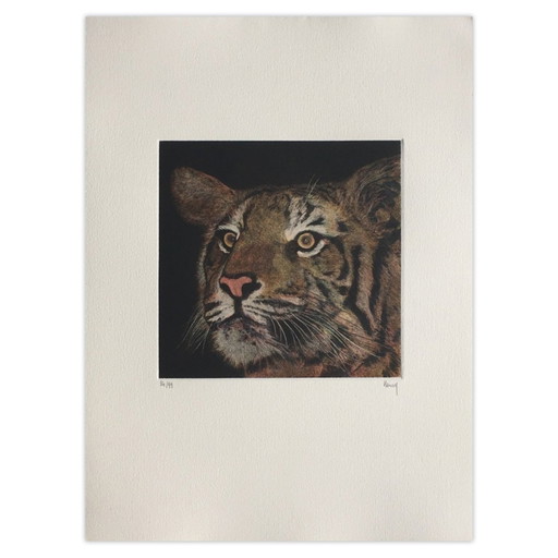 Henry gesigneerde mezzotint Tigre 1990 – lithos zeefdrukken, Paper
