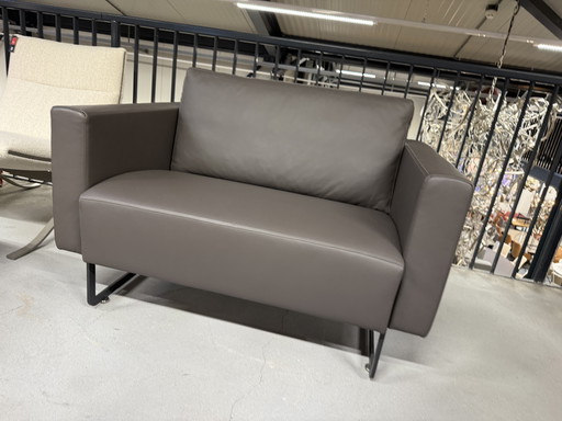 Artifort Mare Romance Fauteuil Cuir de Bœuf 115