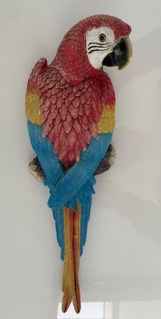 Image 1 of Wall sculpture red macaw parrot colorful design