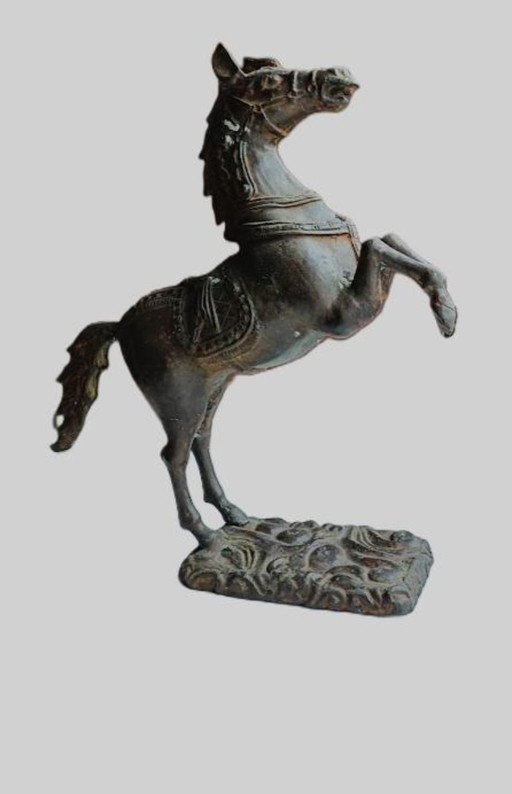 Bronze/metal statue of a rearing horse. Height 50 cm.