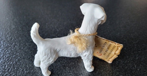Image 1 of Italiaans capodimonte Cesare Villari Beeldje - Schnauzer / Terriër.