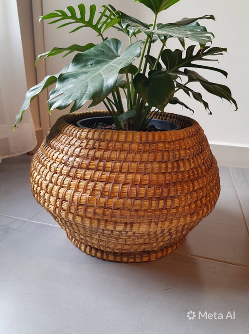 Antique planter made of straw and brambles, 1950