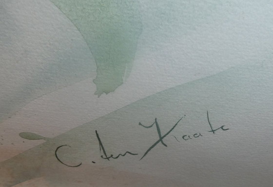 Image 1 of Aquarelle ANEMOON par C. ten Kaate - TOPCONDITION ! !!