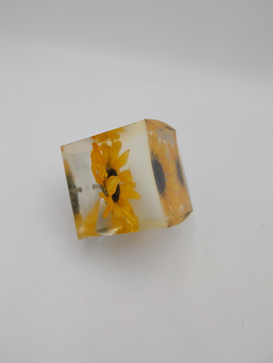 Image 1 of Deux compositions florales dans des blocs de résine époxy. Rose et tournesol, 10 x 10 x 10 cm.