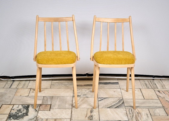 Image 1 of Set of two Vintage Chairs, designed by A. Suman in Czechoslovakia, 1960s