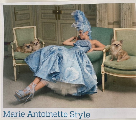 Image 1 of Marie Antoinette Style Super 3 zits Sofa
