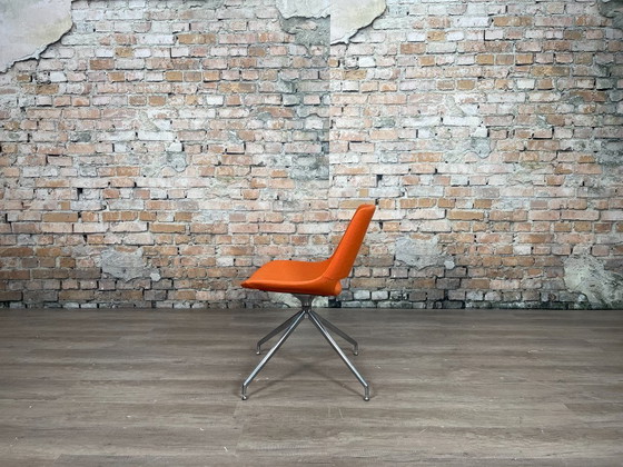 Image 1 of Arper Palm arancione