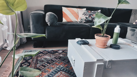 Image 1 of Woood Be Pure bank