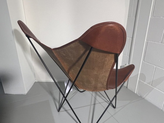 Image 1 of Cognac Papillon