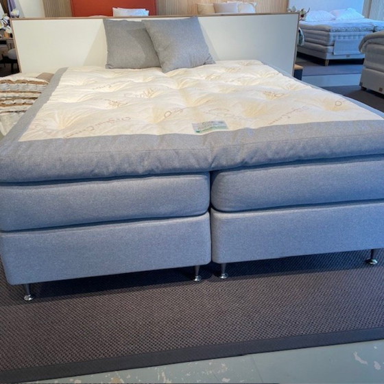 Image 1 of Ecolife - Agave Continental