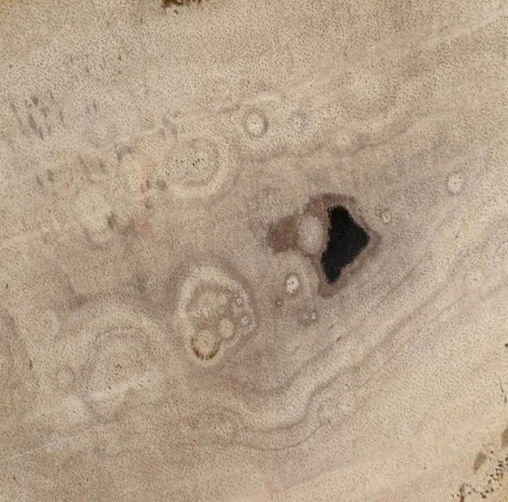 Image 1 of Madera fosilizada de Sooka, soporte hecho a medida (nuevo)