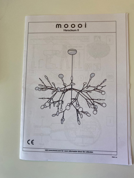 Image 1 of Lampada Heracleum piccola di Moooi