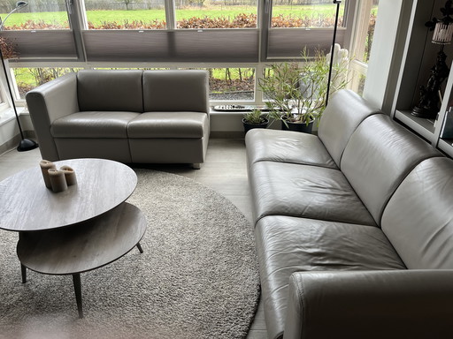 Artifort Banken Taupe Leer