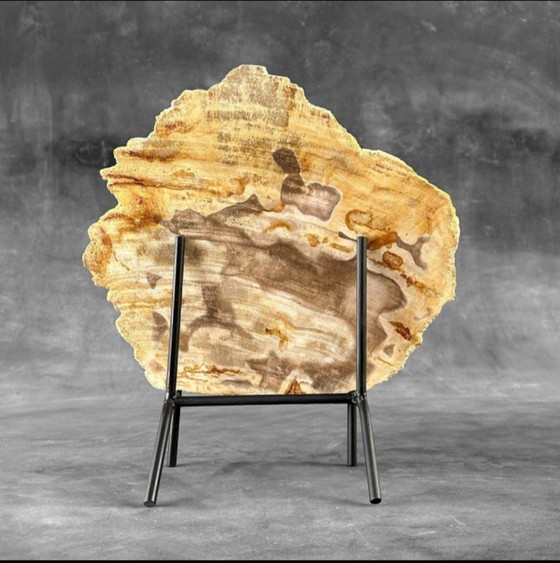 Image 1 of Madera fosilizada de Sooka, estándar a medida (nuevo)