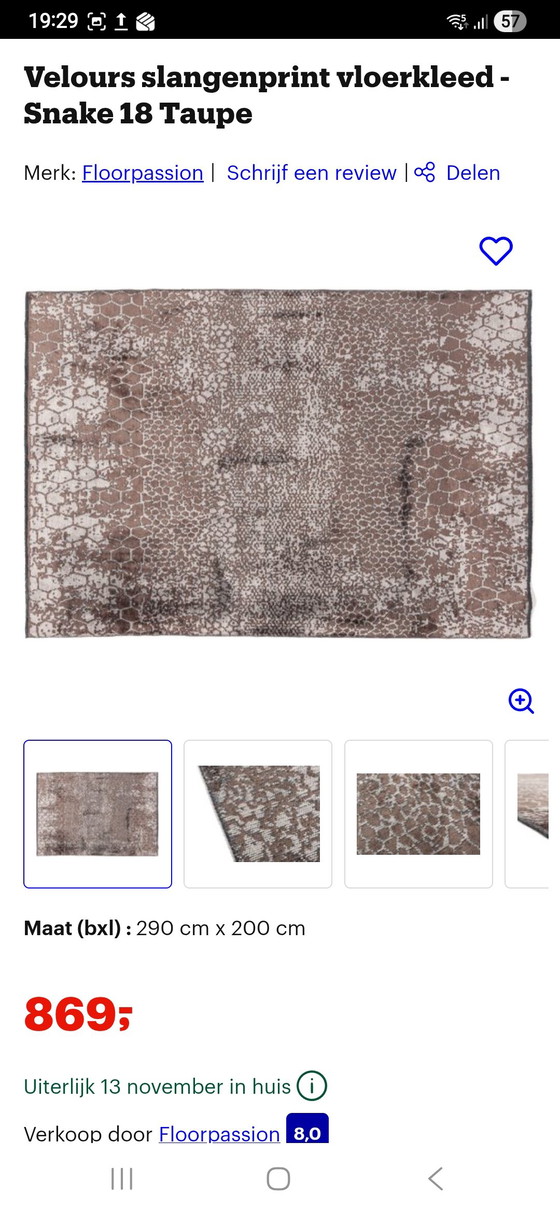 Image 1 of Vloerkleed Snake 18 