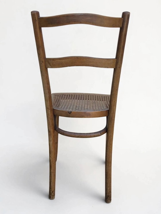 Sedia da bistrò impagliata – Sedie da pranzo, Wood, Art Nouveau (photo 6 of 12)