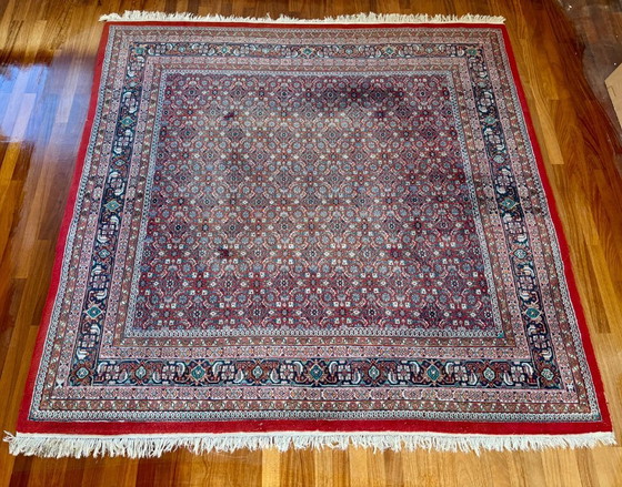Image 1 of Noué à la main - Tapis persan Bidjar - 251 x 240 cm