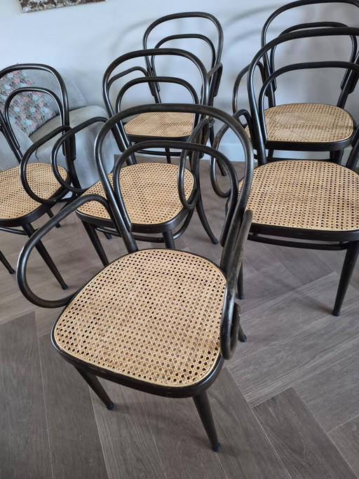 6 Thonet 214f eetkamerstoelen