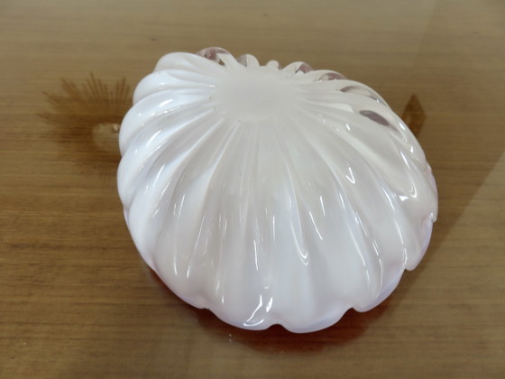 Image 1 of Bolsillo vacío "Shell" de Fratelli Toso, Italia, año 1959