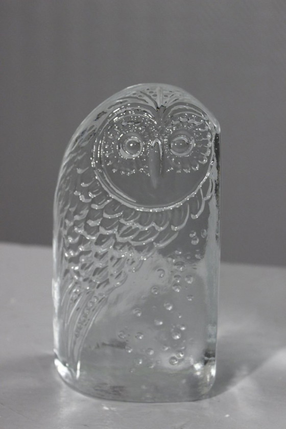 Image 1 of Coppia di grandi fermalibri vintage in vetro stampato a forma di gufi