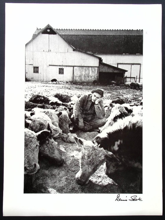 Image 1 of Portefeuille de James Dean par Dennis Stock