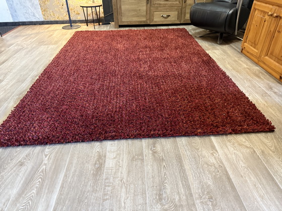 Image 1 of Brink En Campman Dots