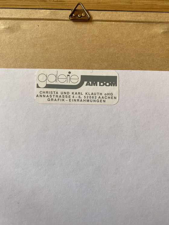 Image 1 of Incisione su acciaio 1845 Bartlett