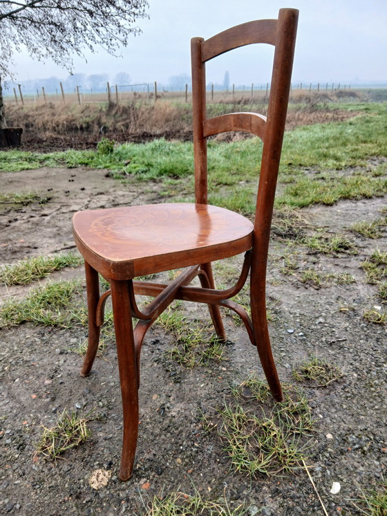 Image 1 of Chaise de bistrot Luterma