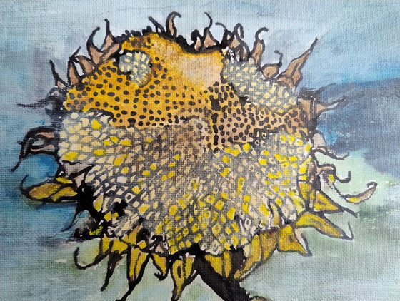 Image 1 of Tournesol