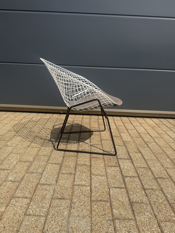 Originele Vintage Knoll Bertoia Diamand Chair TOPstaat!! – Fauteuils, Metal, Textile (photo 3 of 14)