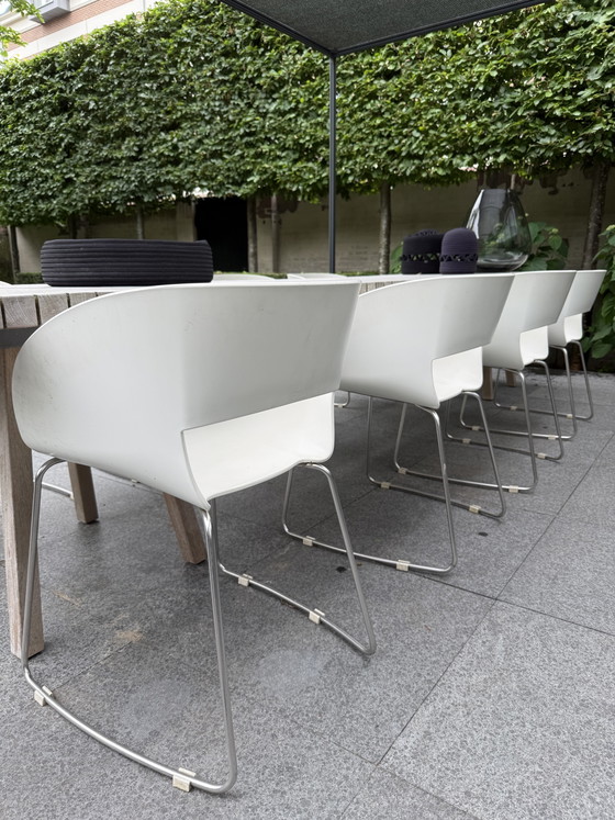 Image 1 of 8 x Tribù Vintage Chair