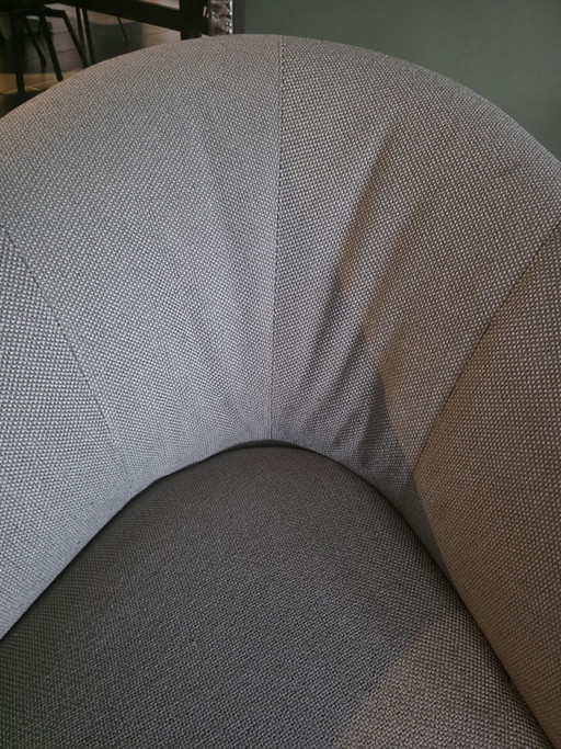 Leolux pupilla 