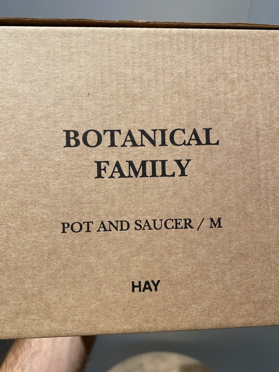 Image 1 of Maceta botánica de heno y platillo
