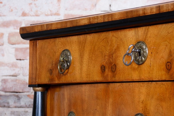 Cassettiera in stile Impero restaurata, in noce, acero e abete rosso, Austria, anni 1820. – Cassettiere, Wood (photo 9 of 18)