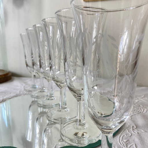 6 Antique Engraved Glass Champagne Flutes
