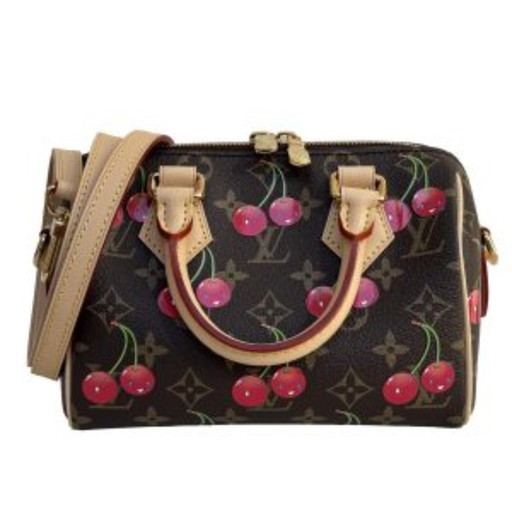 Louis Vuitton Speedy 20